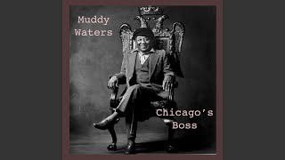 Where's My Woman Been