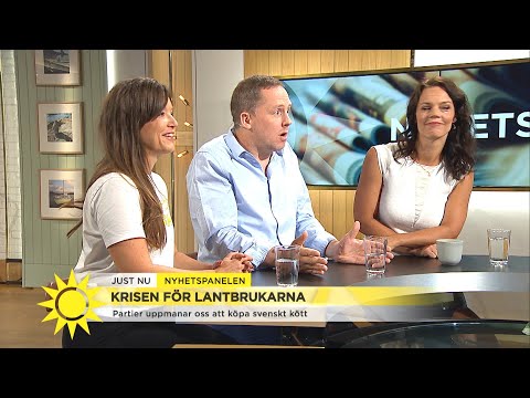 , title : 'Segerfeldt: Finns inga skäl att handla svenskt kött - Nyhetsmorgon (TV4)'