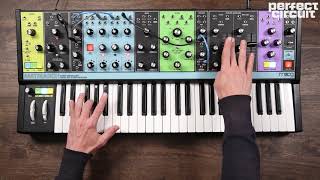 Video thumbnail for Moog Matriarch Analog Paraphonic Four Oscillator Dual Filter Synthesizer by Perfect Circuit