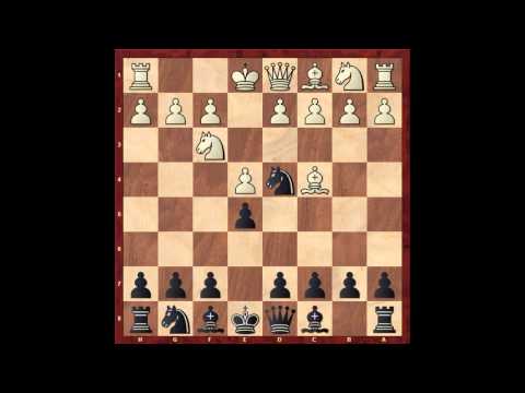 scellino di blackburne