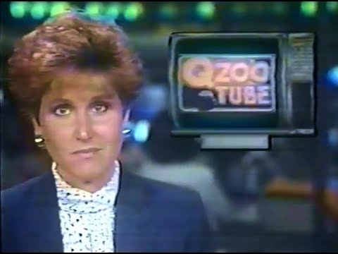 Tampa Bay's Q-Zoo Tube Launch day CNN News Story - May 1st, 1987