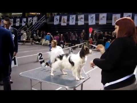 Tixi juunior 15.02.15