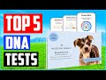 Top 5 Best Dog DNA Tests In 2025