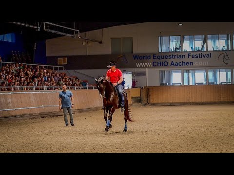 Honza Bláha & Scaramouche - Dressage riding liberty without reins Passage Piruet Lead Change