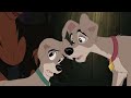 Lady And The Tramp 2 Scamp S Adventure 2001 Scamp Chooses Buster Over His Father