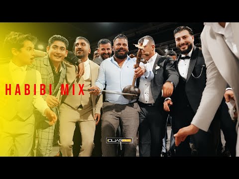 Xemgin Neco | Agir Delilo | Habibi Mix 2025 | Kurdische Hochzeit | #DliarFilmProduction