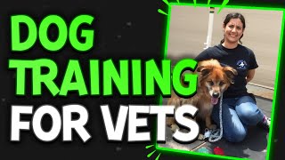 What Vet Med Doesn't Know About Dog Training w/ ThinkingCanine | The Veterinary Roundtable - EP79