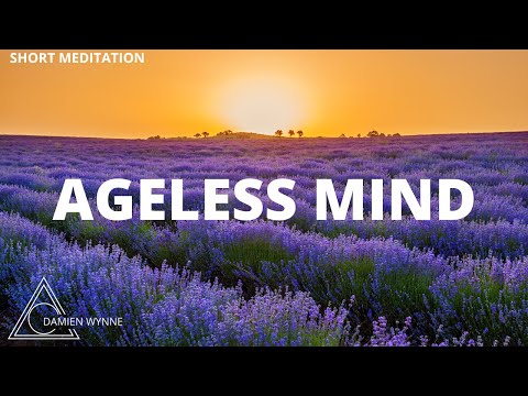 Damien Wynne -AGELESS MIND - SHORT MEDITATION