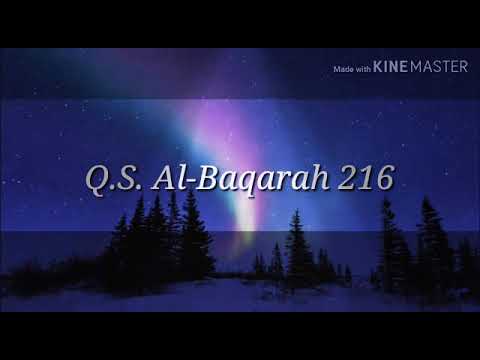 Murottal Surat Al Baqarah ayat 216 (Irama Jiharkah/'Ajam -Mas Qiqi-)