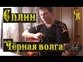 ЧЁРНАЯ ВОЛГА - Сплин - КАВЕР (ПРАВИЛЬНЫЕ аккорды+Бой) 