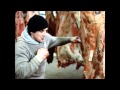 Survivor - Burning heart (Soundtrack of Rocky IV ...