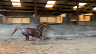 THE LONGHOUSE CHRISTIAN