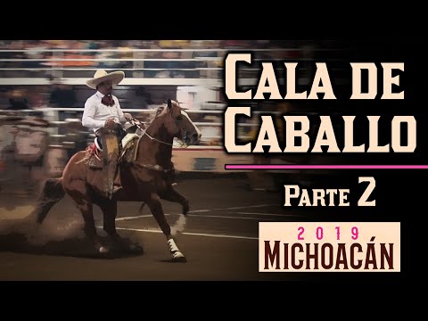 CALA DE CABALLO Part 2 - Morelia Congress 2019