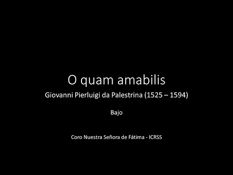 O quam amabilis - Palestrina - Bajo