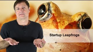 Damir Perge on Startup Leapfrogs