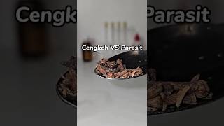 Download lagu bukti ampuhnya cengkeh membunuh parasit mp3 Download lagu bukti ampuhnya cengkeh membunuh parasit mp3