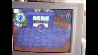 preview picture of video 'animal crossing in my town part 1'