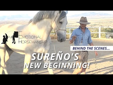 SUREÑO'S NEW BEGINNING (Behind the scenes...)