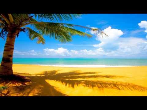 Daniel Kandi Vs. Marcus Schossow & Revees - Venice Light (MoKaRo's Boardwalk Mashup)