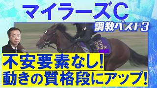 「併走馬を置き去り！」アドマイヤズーム、ウォーターリヒト、オフトレイル・・・競馬エイト・高橋賢司トラックマンの調教解説＜マイラーズカップ(ＧⅡ)＞