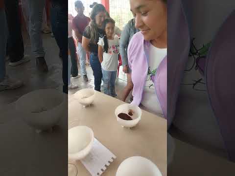 la vereda primavera de Planadas Tolima donde se produce el mejor café del MUNDO