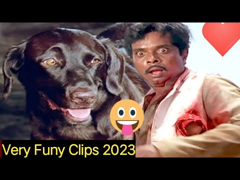 Moti Kills Sadashiv - Climax Scene | Teri Meherbaniyan Movie Scene | Popular Hindi Movie funy clipsd