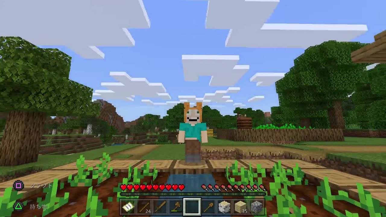 【マイクラ】人生縛り【LIVE】