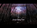 Null - Lore of a Sleeping Forest (Full Album)