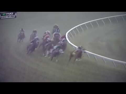 JIM MCKAY TURF SPRINT S .G STAKES $100,000 RICHARDS BOY!!!