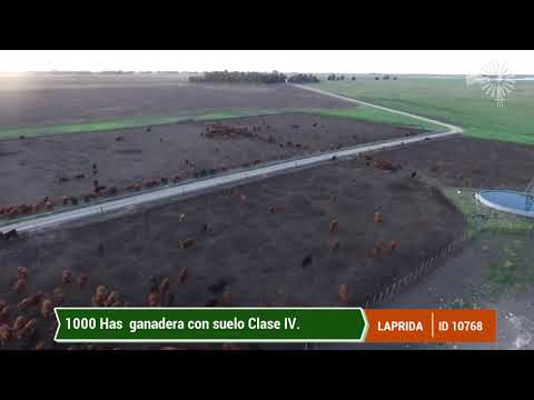 Campo en venta en Laprida de 2600 Has - Estancia armada con aptitud mixta