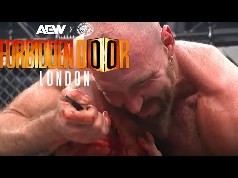 AEW Star Darby Allin Gets Fork Jammed In Ear During AEW Forbidden Door