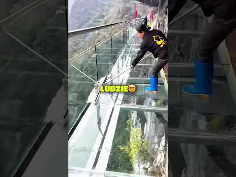Praca Czyściciela Mostów?! 🧼 🏔️