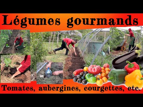 , title : 'Légumes gourmands. Tomates, aubergines, courgettes, etc.'