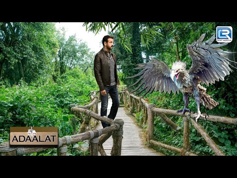 खूंखार परिंदे का खौफनाक Case K.D. PATHAK ने कैसे सुलझाया | अदालत | Adaalat | Full Episode