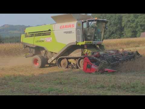 Soja-Ernte 2018 | Class Lexion 770 | Fendt 514 Vario | Lampl Erdbau GmbH