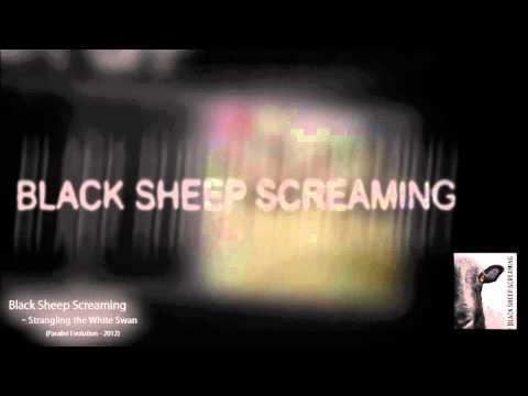 BLACK SHEEP SCREAMING - STRANGLING THE WHITE SWAN