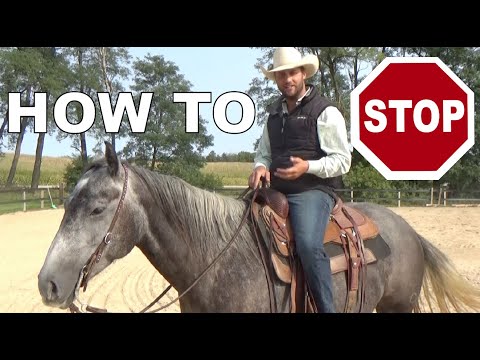 The Fundamentals of Stopping