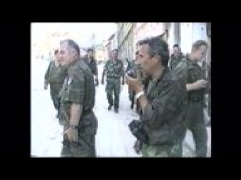 ICTY - Life imprisonment for Ratko Mladic / Reaction / Slobodan Praljak dies after taking poison in