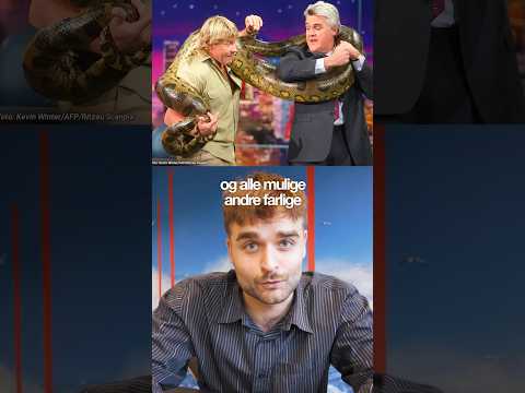 Har du hørt om Steve Irwin?🐊🐊 #ultranyt