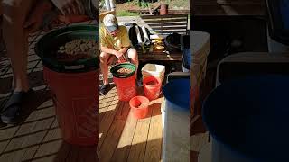 Bent Fork on the Porch Live! #gold #goldmining #goldpanning #goldprospecting
