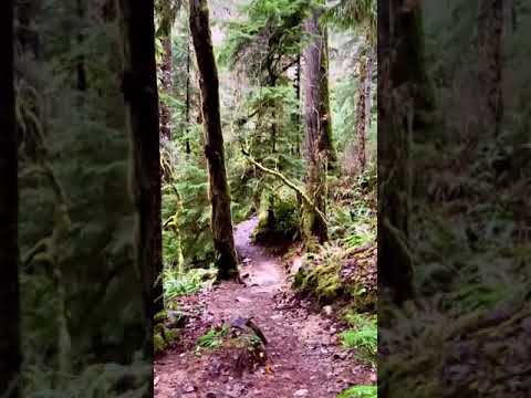 Rainy Creek / Pratt River Trail Nov 2021
