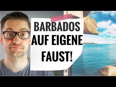 TUI Mein Schiff AIDA MSC Barbados on your own for 0 Euros!