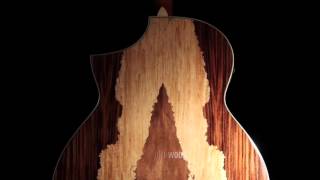 Video thumbnail for IBANEZ AEW51 NT - guitare folk by Pourlesmusiciens.com