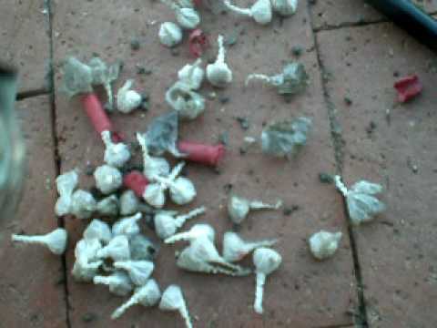download lagu mp3 mp4 Cracker Poppers, download lagu Cracker Poppers gratis, unduh video klip Cracker Poppers