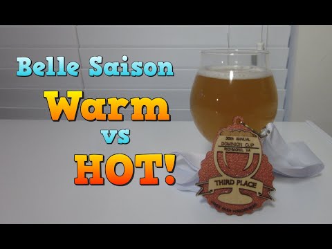 I Fermented Belle Saison HOT!! (and won a medal)