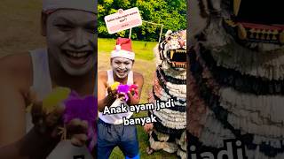 Download lagu ANAK AYAM WARNA WARNI JADI BANYAK mp3