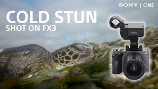 Documenting a Big News Event with the Sony FX3 | Sony Cine