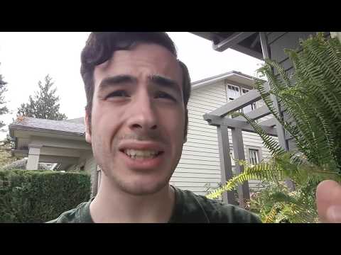 Still can't swallow pills? Try this!