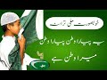 New Pakistani Mili Naghma 2022 Yeh Pyar Aawa Tan Pyara Watan Mera Watan Bhi
