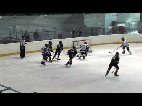 HOBA Bratislava - EC Vienna Tigers, 1.liga starší žiaci U-14